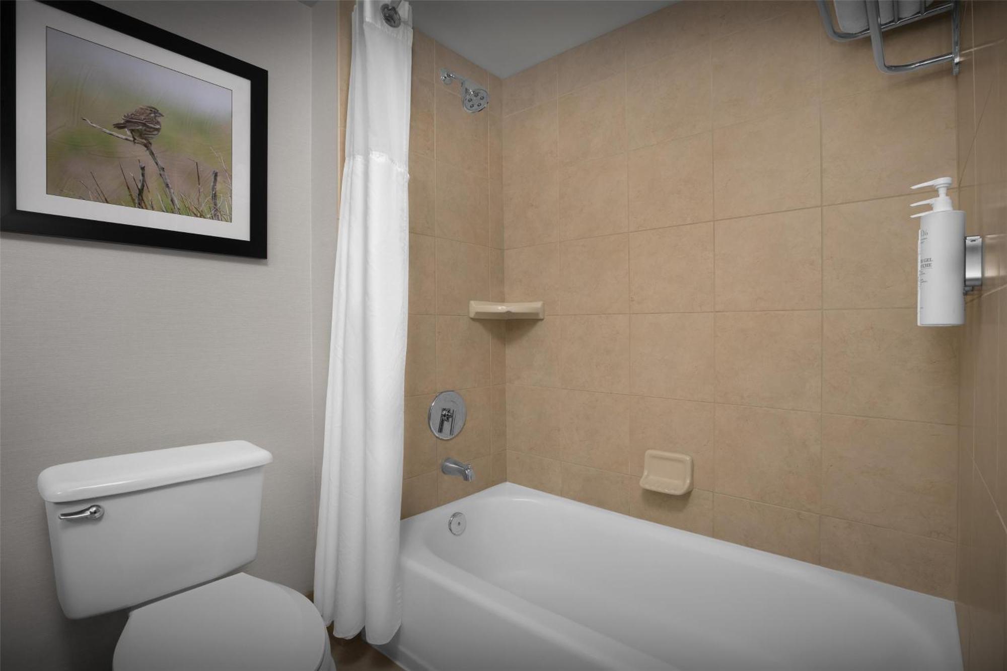 Hilton Garden Inn Denver Highlands Ranch Zewnętrze zdjęcie